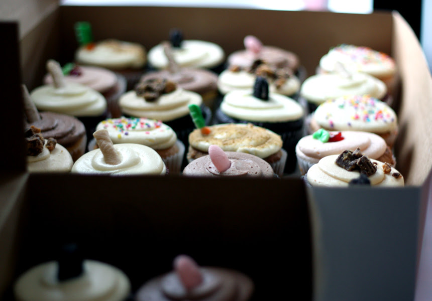 28 cupcakes