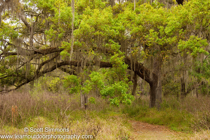 Photo & Video Sharing by SmugMug Photo & Video Sharing by SmugMug