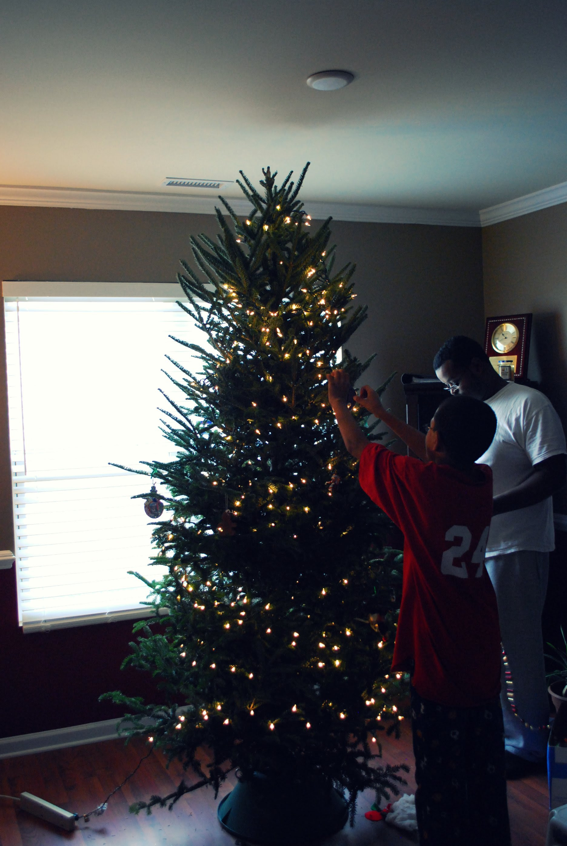 christmas tree