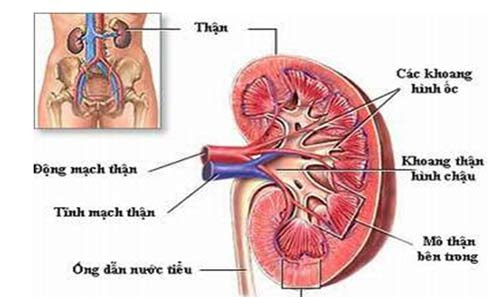 Phòng tránh những biến chứng của bệnh Đái tháo đường