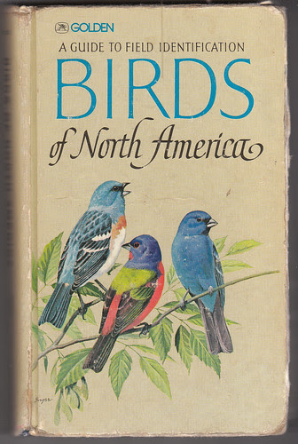 GoldenGuideCover.jpg