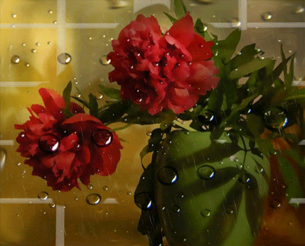 Цветы на окне под дождем