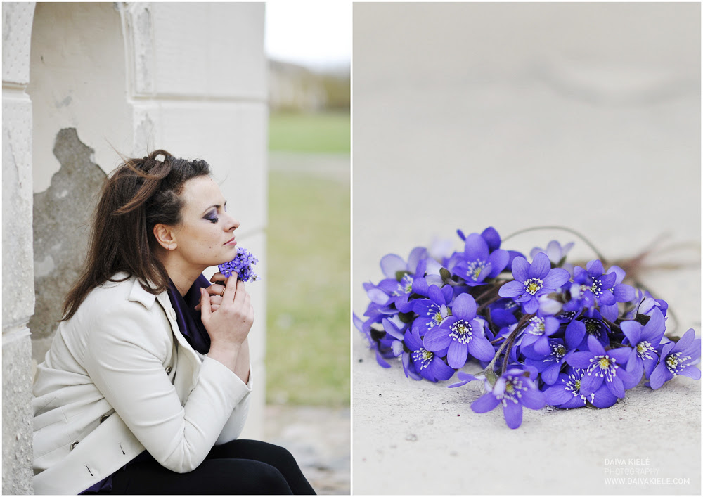 violet dream