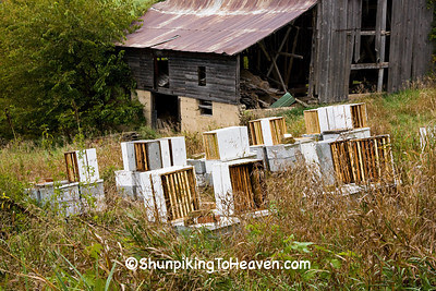 Gray Barn and Beehives, Richland County, Wisconsin