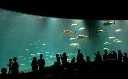 葛西臨海水族園