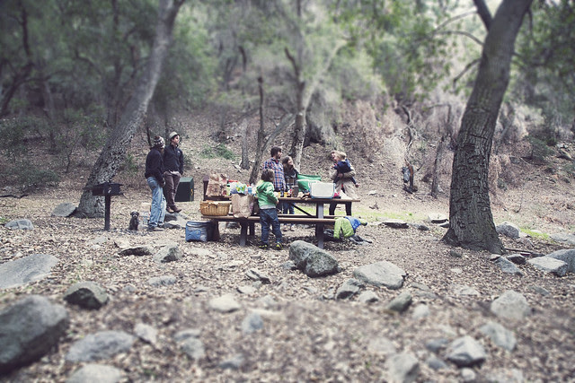 Papa's Poncho: Switzer Picnic Area :: Angeles National Forest