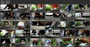 Girls peeing at a public festival voyeur (Public Piss Poster 01)