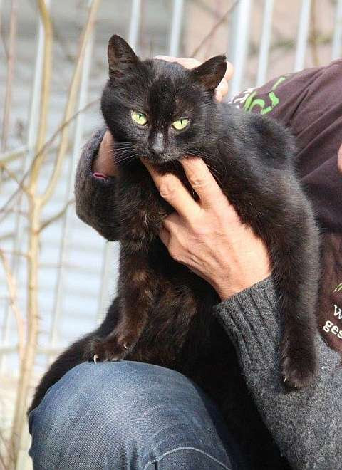 Bild