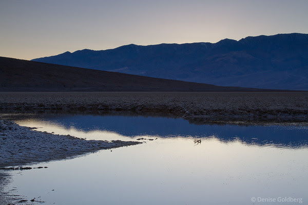 at sunset, near Badwater in Death Valley National Park