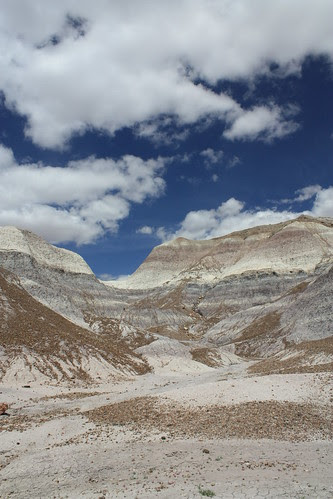 The Blue Mesa - Petrified Forest National Park