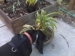 IMG00228.jpg