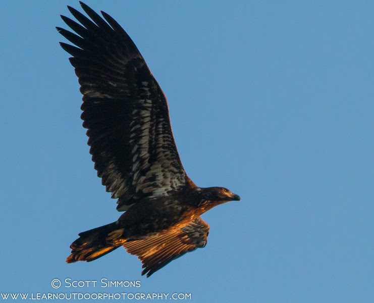 Photo & Video Sharing by SmugMug Photo & Video Sharing by SmugMug