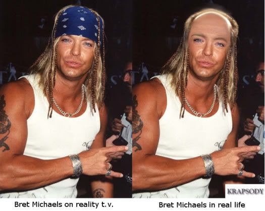 bret michaels reality