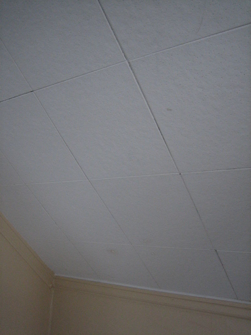 Asbestos Ceiling Tiles 12x12