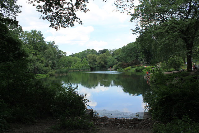 A Walk Along Central Park South
