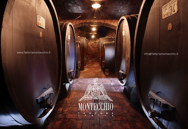 Chianti Classico Fattoria Montecchio Toscana
