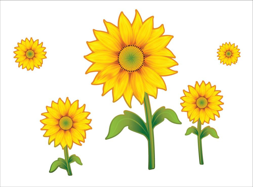 Gambar Cartoon Bunga Matahari ClipArt Best Gambar Cartoon Bunga Matahari ClipArt Best