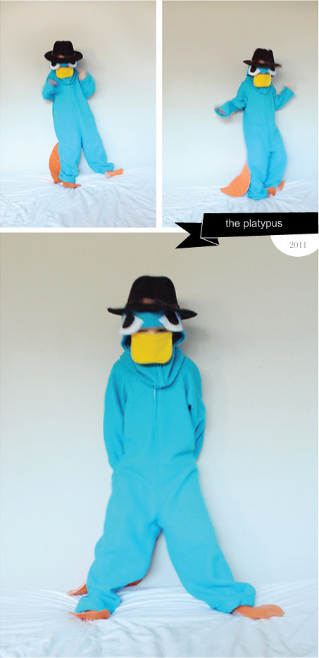 MerMagCostumeRoundUpPlatypus