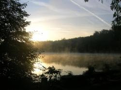 COYE-LA-FORET