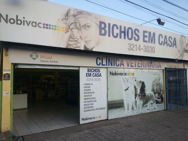 Clínica Veterinária Bichos em Casa/Norte - Veterinário