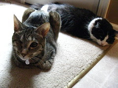 Two sister hanging out together