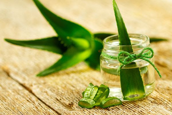 ALOE2