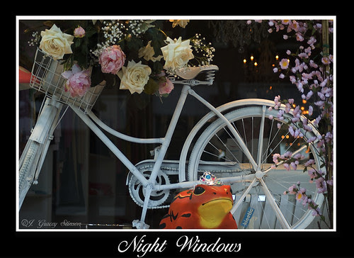 Night Windows - a pretty window display from a shop in downtown Orillia, taken at night
