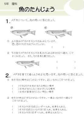 元の小学5年 理科 メダカ 最高のぬりえ