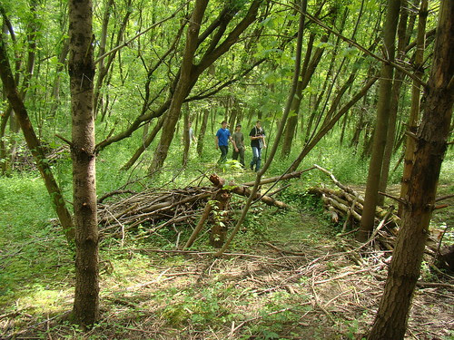 Orienteering
