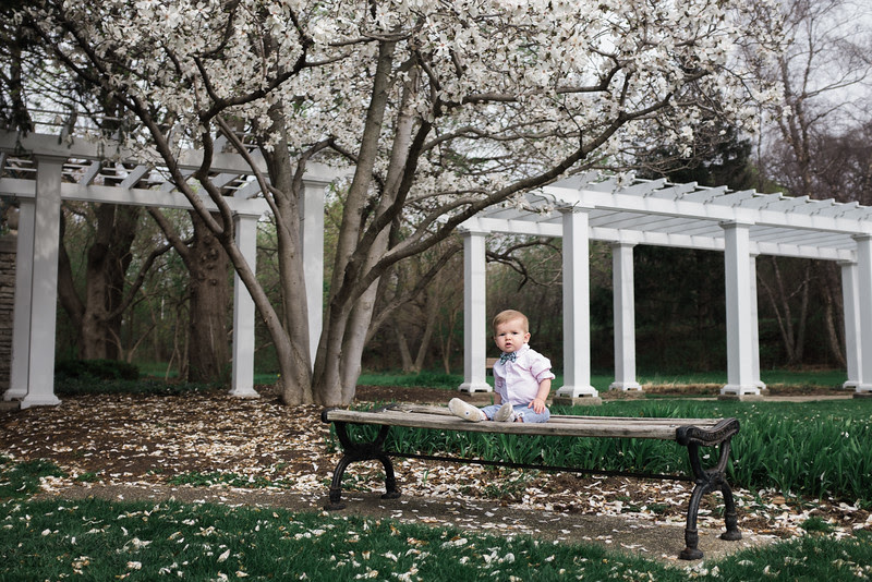 Connors first birthday pictures with the rest of the Jensen family at Sinnissippi Gardens with beautiful spring flowers in bloom in Rockford, IL! Connors first birthday pictures with the rest of the Jensen family at Sinnissippi Gardens with beautiful spring flowers in bloom in Rockford, IL!