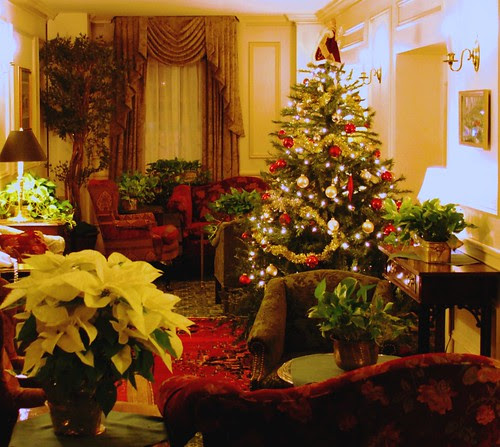2nd floor Christmas tree