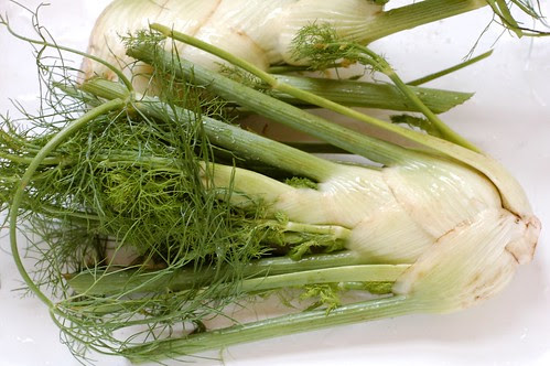 Fennel by Eve Fox, Garden of Eating blog, copyright 2011