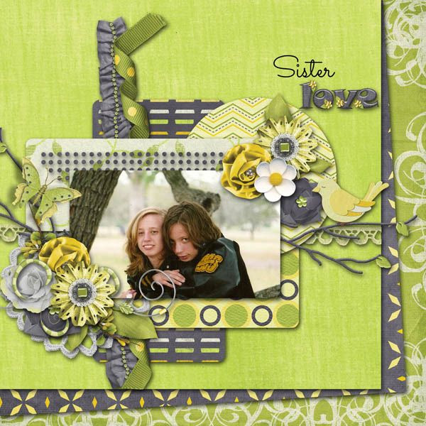 photo BCMD_MFT_template4_luminous_web_zps8741836e.jpg