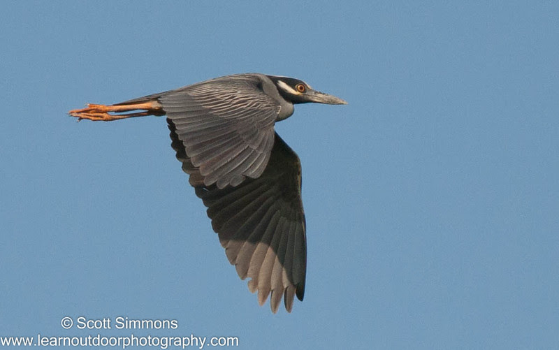 Photo & Video Sharing by SmugMug Photo & Video Sharing by SmugMug