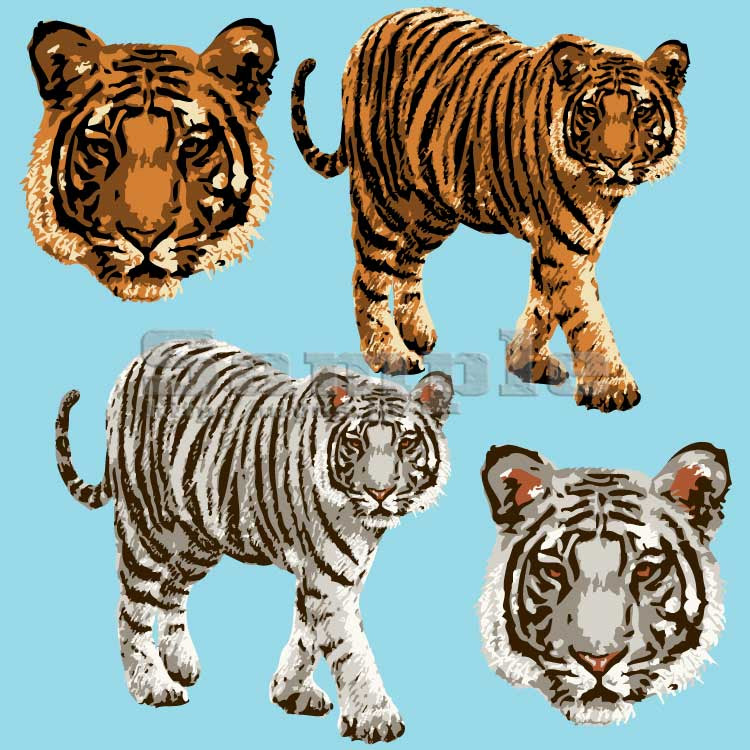 すべての動物の画像 50 素晴らしい虎 イラスト リアル