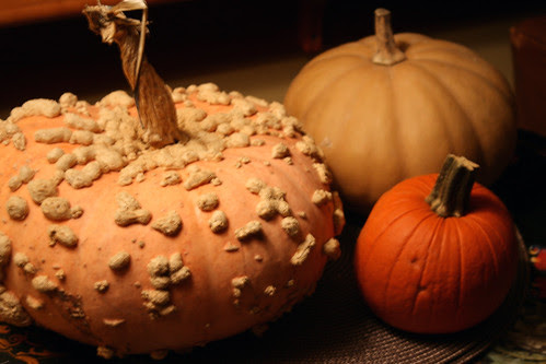 halloween pumpkins 031