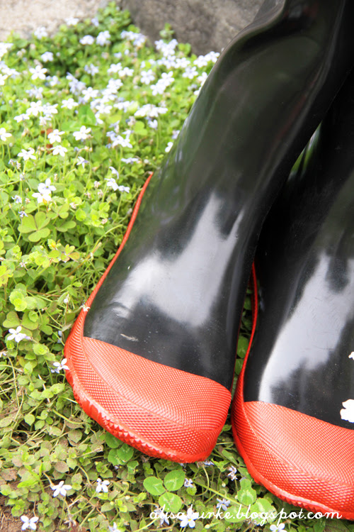 stylish rubber shoes