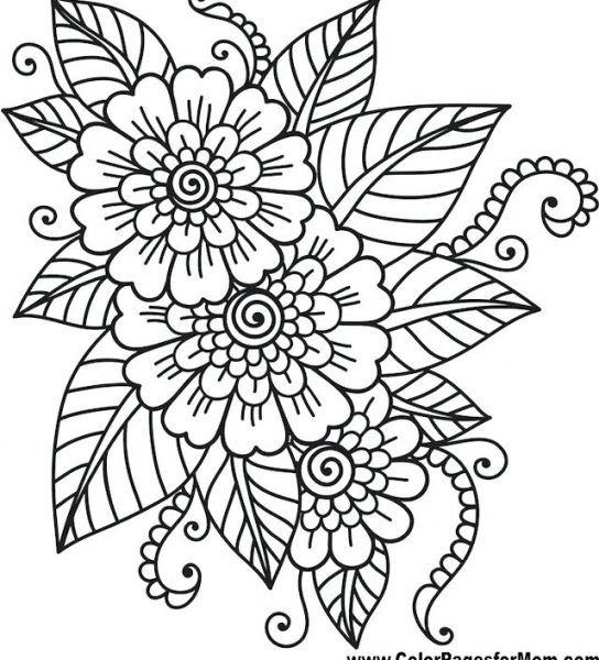Colouring Books For Dementia Adults - 1065+ File for DIY T-shirt, Mug