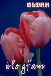 Image hosted by Photobucket.com