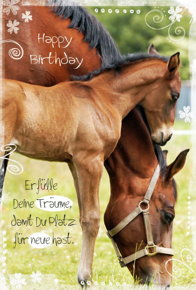 Sprüche Zum Geburtstag Pferd, Zitate&hellip; violalalacole blog