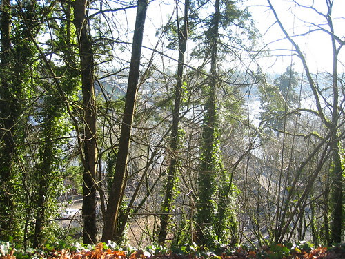 Sellwood Bridge from the Riverview Cemetery