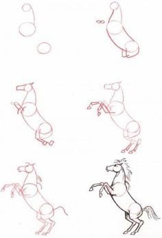 Featured image of post Dibujos A Lapiz Paso A Paso De Animales Aprende a dibujar animales marinos para aprender y decorar