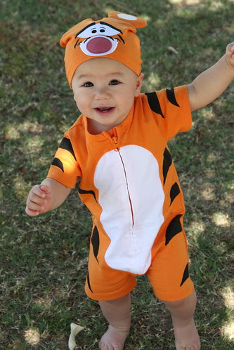 Evie_Tigger_002
