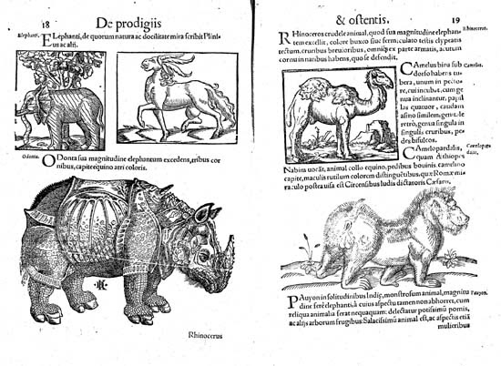 The rhinoceros of Dürer in Conrad Lycosthenes’s Prodigiorum ac ostentorum chronicon, 1557
