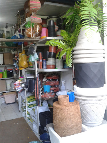 Chácara Celeste Horto e Floricultura - Floricultura