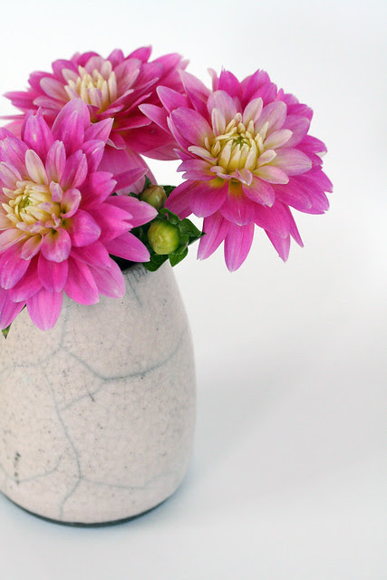 new pink vase