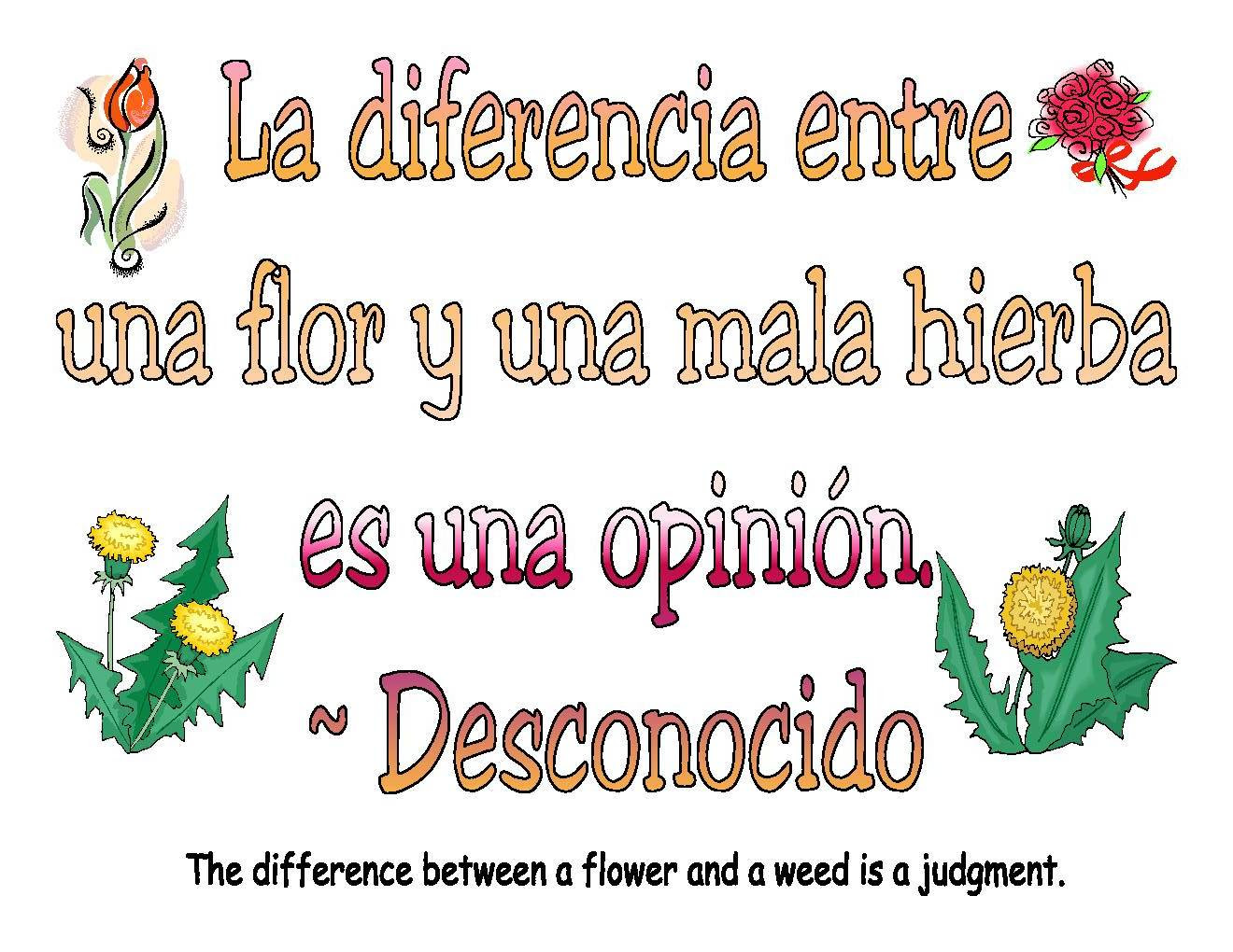 Spanish Quotes About Life. QuotesGram Spanish Quotes About Life. QuotesGram