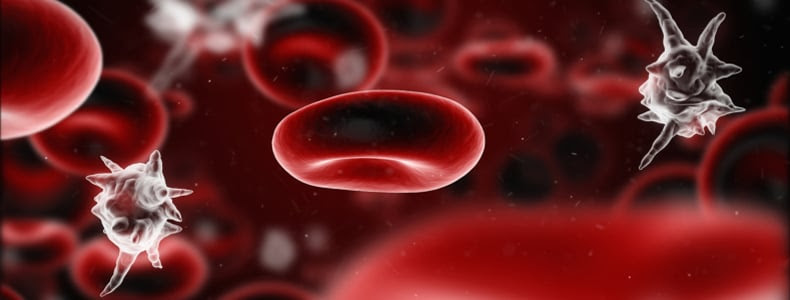 Sepsis infected blood cell