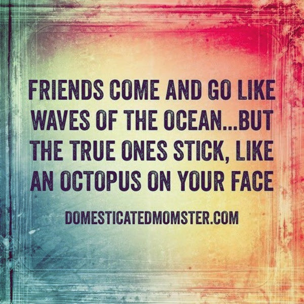 Dumbass Best Friends Quotes With Pictures (14)