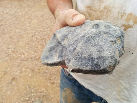 The meteorite fell to Earth in a remote area of the Australian outback